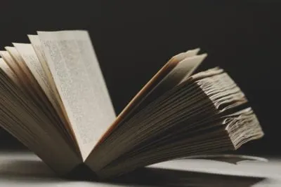Understanding chapters average and words per chapter