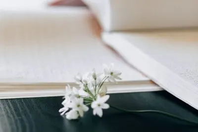 Romance writing prompts