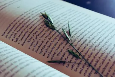 what is a plot of a story