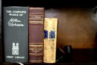 What makes a brief summary a good summary?