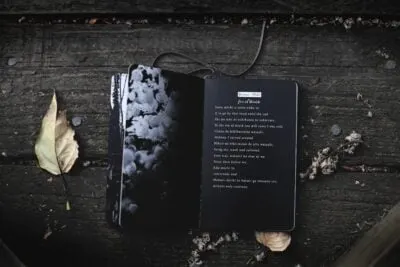 self publishing a book of poetry